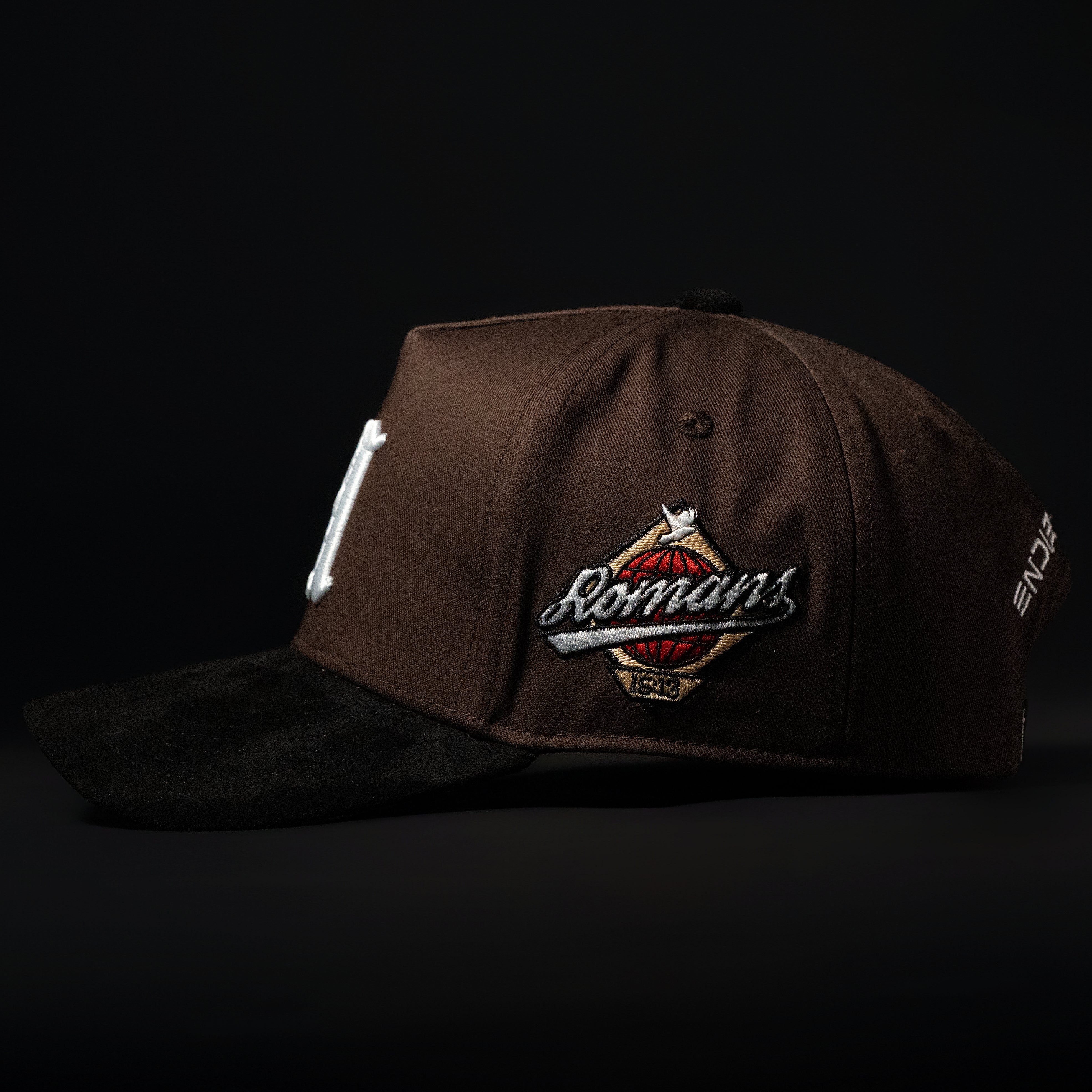 Brown & Black Sueded Brim Hat