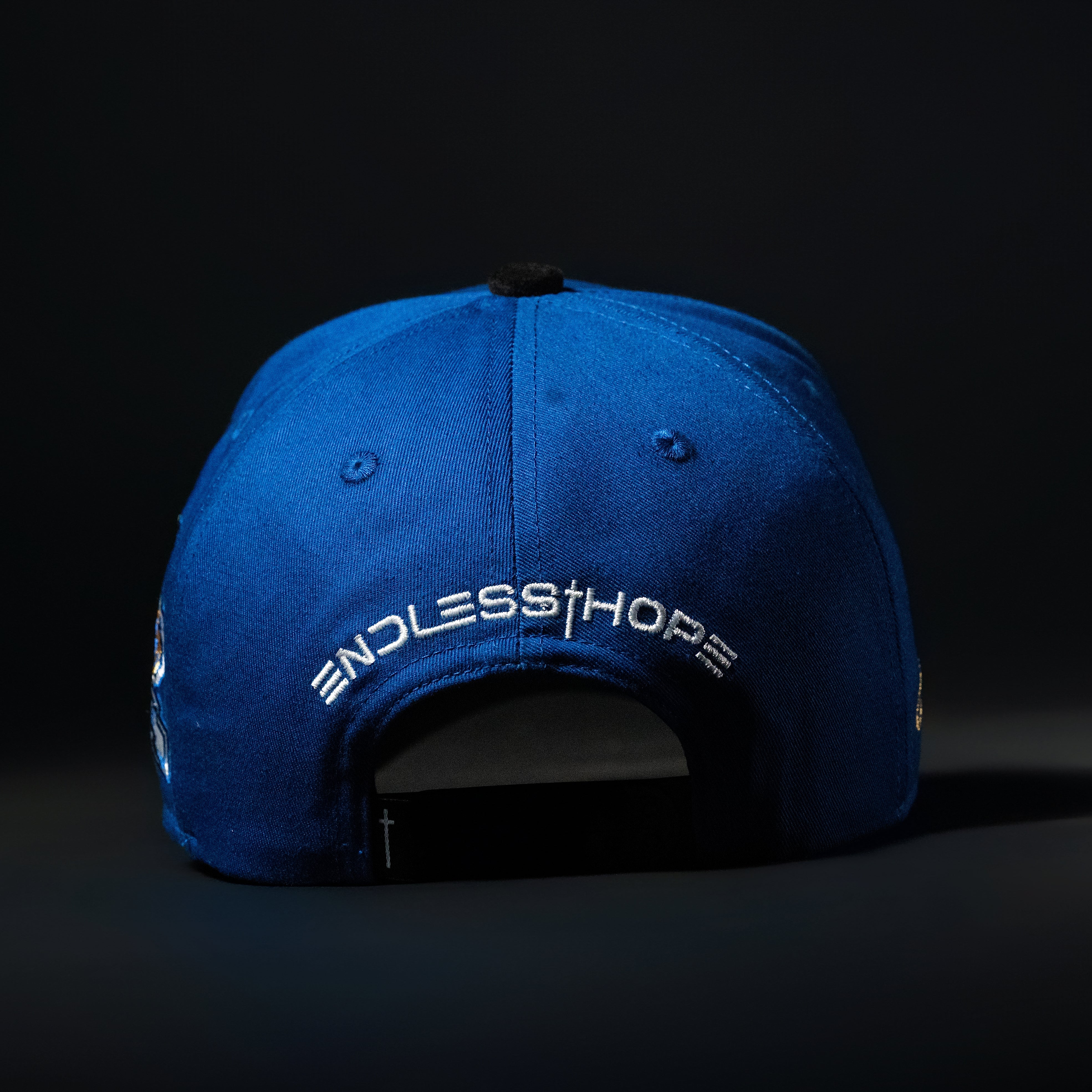Royal Blue & Black Sueded Brim Hat
