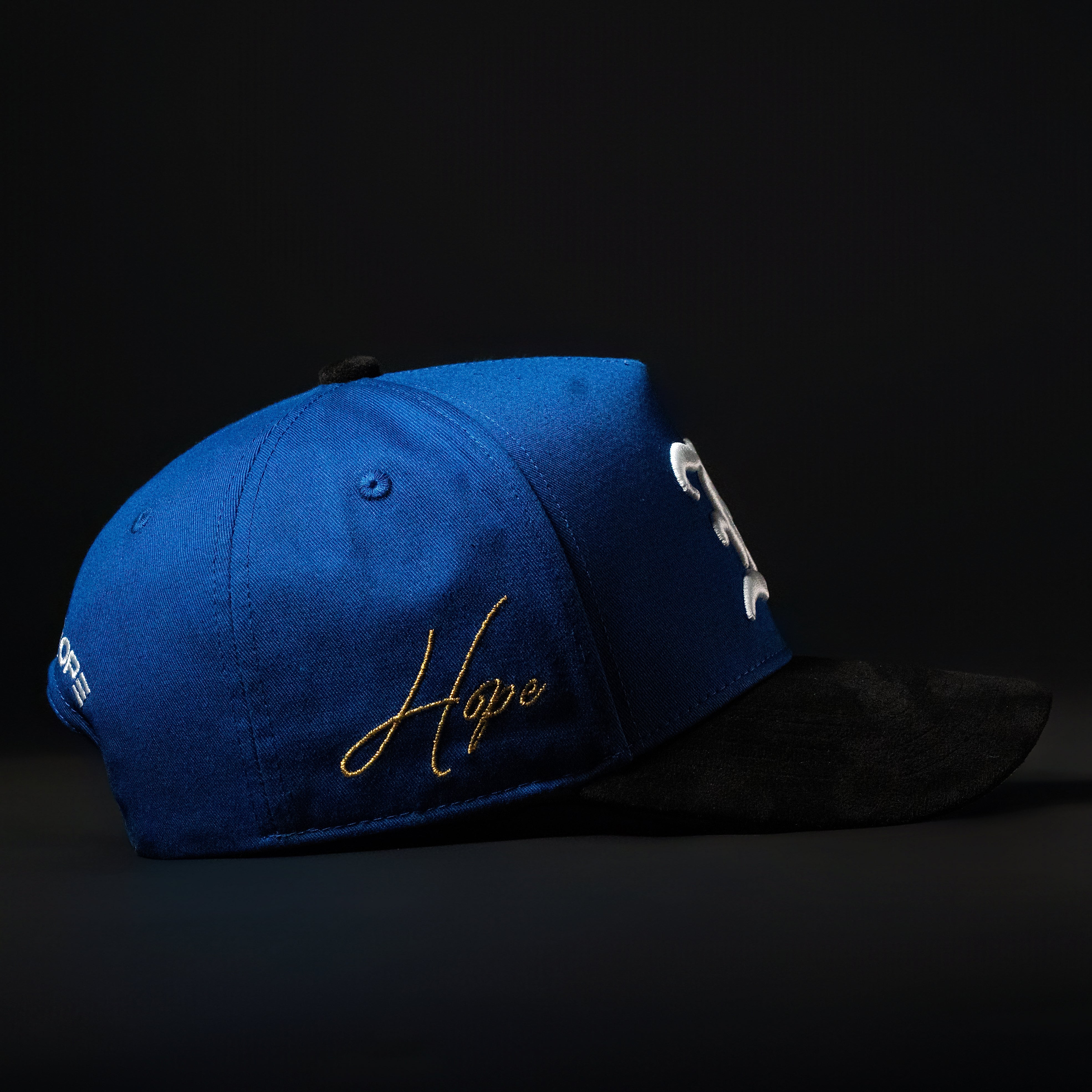 Royal Blue & Black Sueded Brim Hat