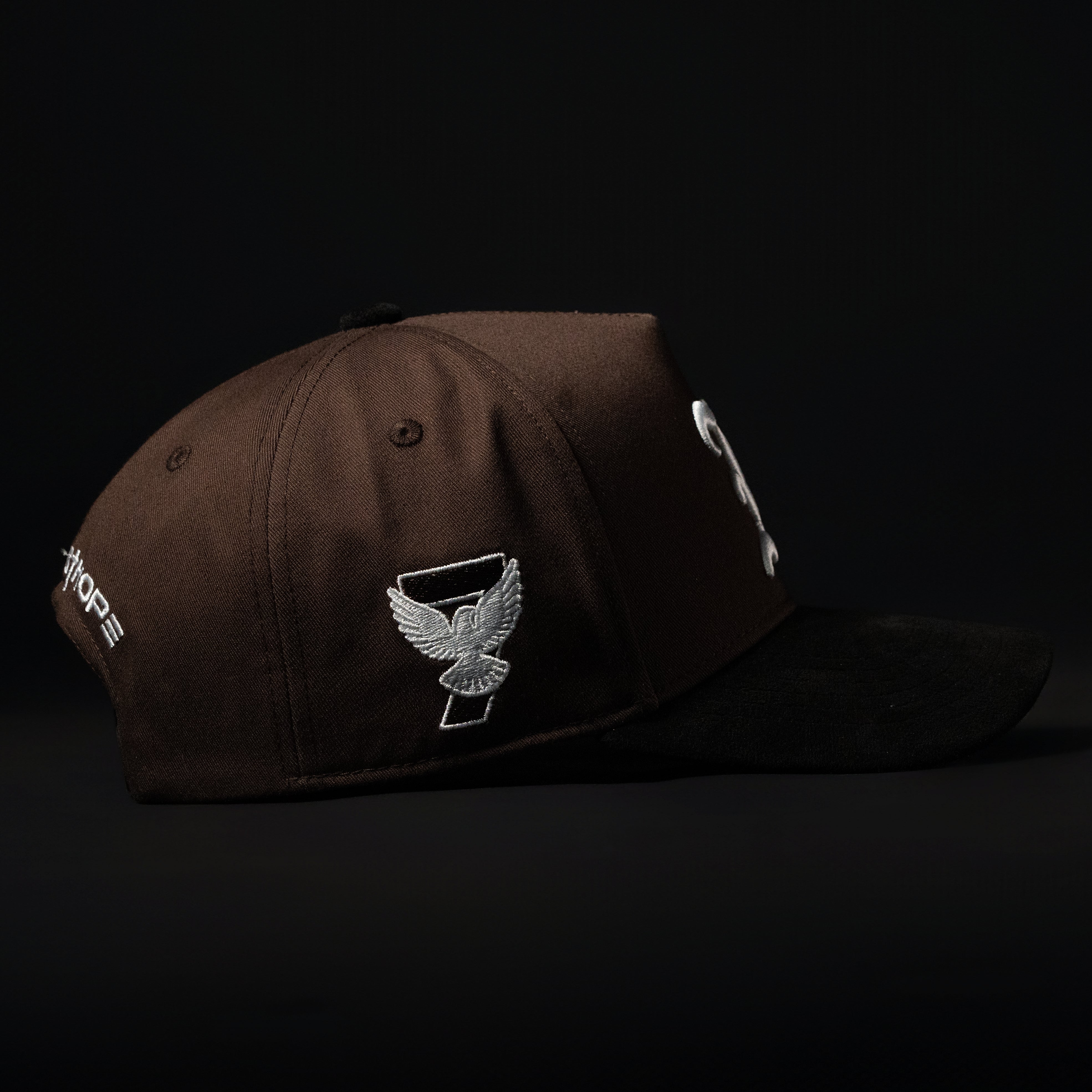 Brown & Black Sueded Brim Hat